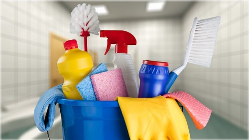 Professional carpet cleaning in a Kensington home interior