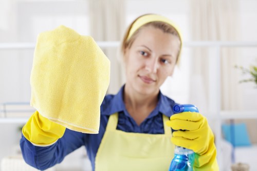 Cookie preference control for a Kensington deep cleaning website