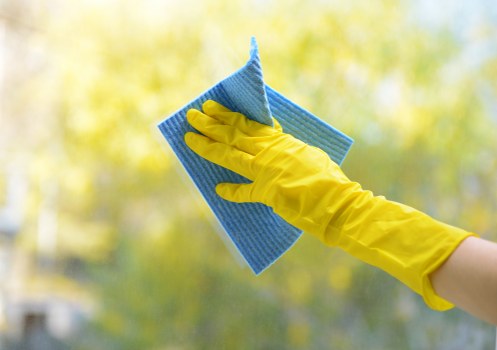 Carpet care service for commercial premises in Kensington