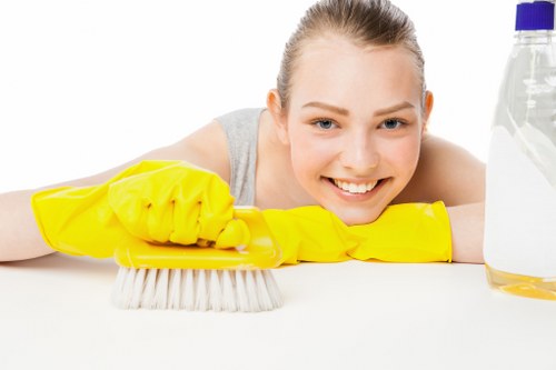 Domestic and commercial cleaning in a Kensington property