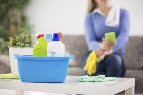 Professional carpet cleaner working in a Kensington flat