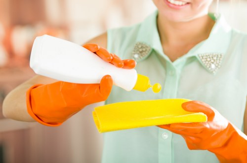 Local oven cleaner service for residential and commercial customers in Kensington
