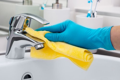 Regular house cleaning tasks in a Kensington apartment
