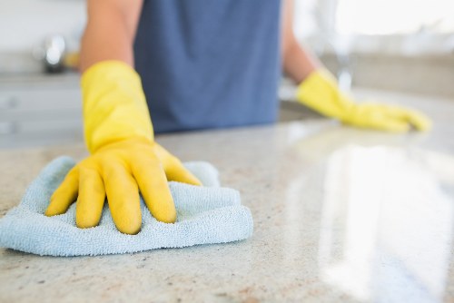Kitchen deep cleaning details and appliance care